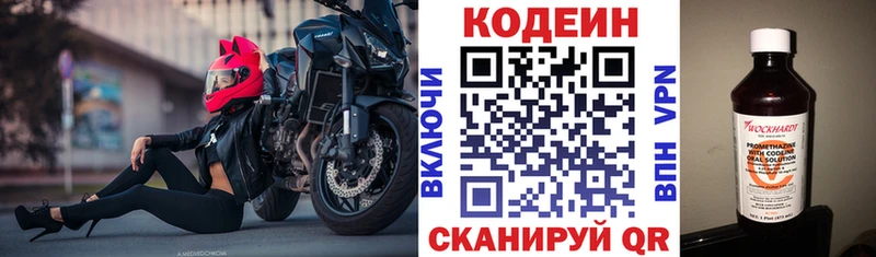 цены наркотик  Николаевск-на-Амуре  Кодеин напиток Lean (лин) 